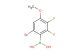 (6-bromo-2,3-difluoro-4-methoxyphenyl)boronic acid