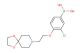 (4-(2-(1,4-dioxa-8-azaspiro[4.5]decan-8-yl)ethoxy)-3-chlorophenyl)boronic acid