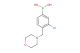 (3-chloro-4-(morpholinomethyl)phenyl)boronic acid