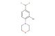 4-(2-bromo-4-(difluoromethyl)phenyl)morpholine