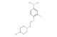 (3-chloro-4-(2-(4-hydroxypiperidin-1-yl)ethoxy)phenyl)boronic acid