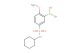 (5-(N-cyclohexylsulfamoyl)-2-methoxyphenyl)boronic acid