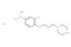 (3-fluoro-4-(3-(piperazin-1-yl)propoxy)phenyl)boronic acid hydrochloride