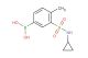 (3-(N-cyclopropylsulfamoyl)-4-methylphenyl)boronic acid