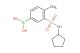 (3-(N-cyclopentylsulfamoyl)-4-methylphenyl)boronic acid