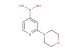 (2-morpholinopyridin-4-yl)boronic acid