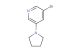 3-bromo-5-(pyrrolidin-1-yl)pyridine