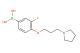 3-fluoro-4-(3-(pyrrolidin-1-yl)propoxy)phenylboronic acid