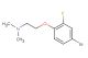 2-(4-bromo-2-fluorophenoxy)-N,N-dimethylethanamine