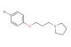 1-(3-(4-bromophenoxy)propyl)pyrrolidine