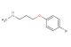 3-(4-bromophenoxy)-N-methylpropan-1-amine