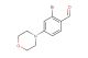 2-bromo-4-morpholinobenzaldehyde