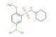 (3-(N-cyclohexylsulfamoyl)-4-methoxyphenyl)boronic acid