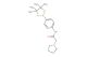 2-(pyrrolidin-1-yl)-N-(4-(4,4,5,5-tetramethyl-1,3,2-dioxaborolan-2-yl)phenyl)acetamide