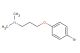 3-(4-bromophenoxy)-N,N-dimethylpropan-1-amine