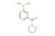 (3-(pyrrolidine-1-carbonyl)phenyl)boronic acid