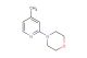 4-(4-methylpyridin-2-yl)morpholine