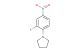 1-(2-fluoro-4-nitrophenyl)pyrrolidine