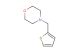 4-(thiophen-2-ylmethyl)morpholine