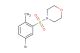 4-(5-bromo-2-methylphenylsulfonyl)morpholine