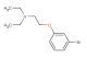 2-(3-bromophenoxy)-N,N-diethylethanamine