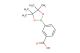 3-(4,4,5,5-tetramethyl-1,3,2-dioxaborolan-2-yl)benzoic acid