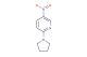 5-nitro-2-(pyrrolidin-1-yl)pyridine