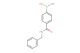 4-(benzylcarbamoyl)phenylboronic acid