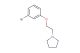 1-(2-(3-bromophenoxy)ethyl)pyrrolidine