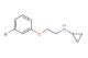 N-(2-(3-bromophenoxy)ethyl)cyclopropanamine