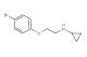 N-(2-(4-bromophenoxy)ethyl)cyclopropanamine