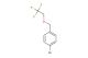 1-bromo-4-((2,2,2-trifluoroethoxy)methyl)benzene