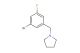 1-(3-bromo-5-fluorobenzyl)pyrrolidine