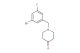 1-(3-bromo-5-fluorobenzyl)piperidin-4-one