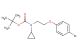 tert-butyl (2-(4-bromophenoxy)ethyl)(cyclopropyl)carbamate