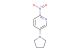 2-nitro-5-(pyrrolidin-1-yl)pyridine