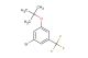 1-bromo-3-(tert-butoxy)-5-(trifluoromethyl)benzene