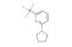 2-(pyrrolidin-1-yl)-6-(trifluoromethyl)pyridine