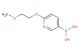 (6-(2-methoxyethoxy)pyridin-3-yl)boronic acid