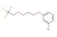 1-bromo-3-(3-(2,2,2-trifluoroethoxy)propoxy)benzene