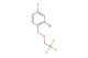 2-bromo-4-fluoro-1-((2,2,2-trifluoroethoxy)methyl)benzene