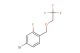 4-bromo-2-fluoro-1-((2,2,2-trifluoroethoxy)methyl)benzene