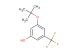 3-(tert-butoxy)-5-(trifluoromethyl)phenol