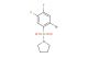 1-((2-bromo-4,5-difluorophenyl)sulfonyl)pyrrolidine