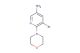 5-bromo-6-morpholinopyridin-3-amine