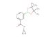 N-cyclopropyl-5-(4,4,5,5-tetramethyl-1,3,2-dioxaborolan-2-yl)nicotinamide