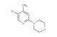 4-(5-bromo-4-methylpyridin-2-yl)morpholine