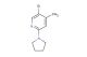 5-bromo-4-methyl-2-(pyrrolidin-1-yl)pyridine