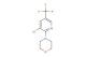 4-(3-chloro-5-(trifluoromethyl)pyridin-2-yl)morpholine