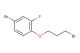 4-bromo-1-(3-bromopropoxy)-2-fluorobenzene
